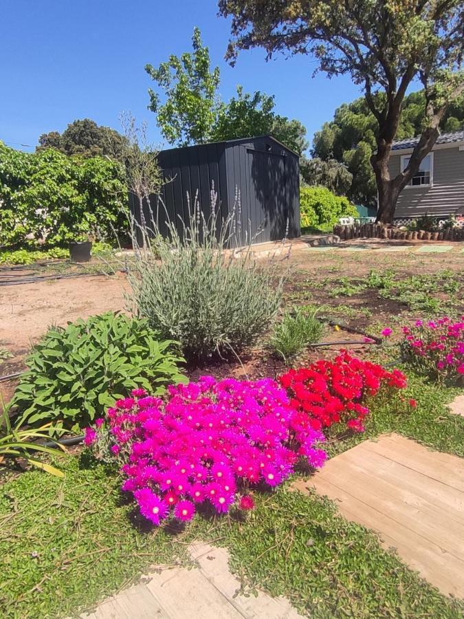 Casita El Destino Con Barbacoa Y Jacuzzi Villa Aldea del Fresno ภายนอก รูปภาพ